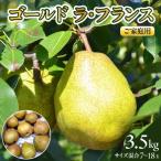 梨 西洋梨 ゴールドラフランス 3.5kg