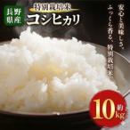 木島平産 特別栽培米 コシヒカリ 約10kg