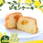 レモンケーキ1箱 5個入