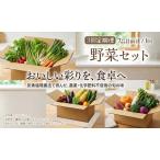 B2-7805 野菜セット 7品目前後 1回