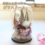 花 苗木 花束 ガラスドーム フラワードーム