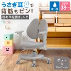 Rabbit チェア 肘有 足置きリング付き