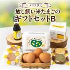 放し飼い米たまごのセットB 放し飼い米たまご