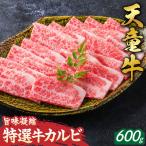 旨味凝縮 天童牛 カルビ 600g