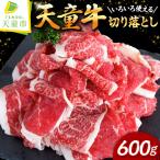 切り落とし 600g