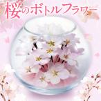 fu.... налог Sakura. бутылка цветок (Qb044) Fukuoka префектура Kurume город 