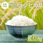 産コシヒカリ 精米10kg FAG-0060