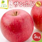 サンふじ 約 5kg