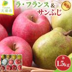 ラ フランス りんご サンふじ ラフランス 詰合せ 各1.5kg