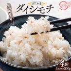 自然栽培 ダイシモチ麦 六条大麦 300g×4袋