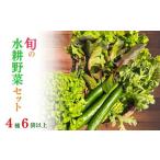 野菜 旬の水耕野菜セット 4種6袋以上 亀岡産
