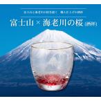 富士山 海老川の桜 赤