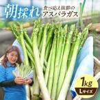 アスパラガス 1kg