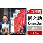 令和8年産新米 新之助 白米 6kg