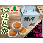 甘っ子 小玉 ハウス せとか 9玉入