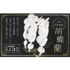 fu.... налог искусственный цветок . бабочка орхидея . бабочка орхидея kochou Ran орхидея искусственный цветок ручная работа открытие праздник ... праздник . годовщина праздник . super цветок цветок Kumamoto префектура 