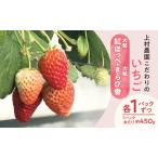 ふるさと納税 上村農園 こだわりのいちご 大粒紅ほっぺ・大粒きらぴ香 各1パックずつ (1パックあたり約450g) イチゴ あまい おいしい 静岡 浜松.. 静岡県浜松市