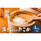 原農園 JAZZ米 白米 4kg