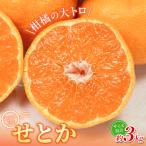 紀州和歌山産 せとか 約3kg