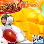 大玉マンゴー 2個入り