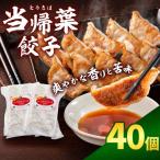 当帰葉餃子 40個入り