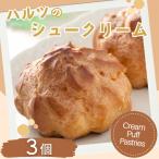 ハルツのシュークリーム 3個:A070-003