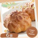 ハルツのシュークリーム 6個:A090-036
