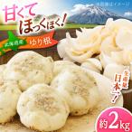 ゆり根 Lサイズ 約2kg
