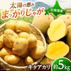 じゃがいも キタアカリ 5kg