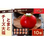 なごし×井筒屋 赤い冒険シリーズ とまとチーズ大福 10個入
