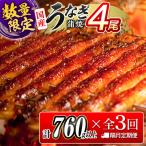 鰻 特大4尾 3回定期便 E193-760-091101
