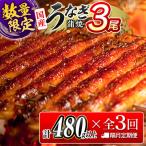 鰻 3尾