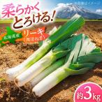 リーキ 3kg