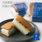 塩どら焼き専門店の塩アイスどら焼き8個セット