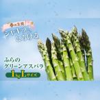 グリーンアスパラ Lサイズ 富良野産 アスパラ