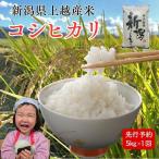 コシヒカリ 新米 米ヴィレッジさんわ 5kg