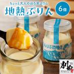 ちょっと大人のほろ苦ぷりん☆別府名物地獄蒸し 6個入り