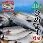 ひめます 高級魚 塩焼き