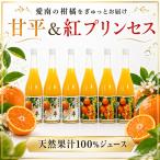 紅プリンセスジュース 甘平ジュース ストレート 各720ml
