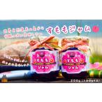 徳之島産すもも使用 低糖度の徳之島すももジャム 100g×2