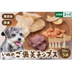 いぬのご褒美チップス20g×5袋 ペットフード