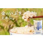 ふるさと納税 令和7年産 金のいぶき（玄米）5kg 防災減災 宮城県石巻市