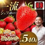 完熟とちあいか Grande グランデ 270g×2P