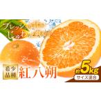 はっさく 紅八朔 約5kg