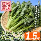 スティックセニョール 1.5kg