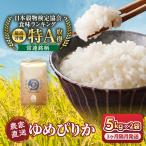 岩崎農園 白米 特A ゆめぴりか 5kg×2袋