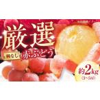 厳選赤ぶどう 種無し 約2kg