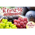 厳選ぶどう詰め合わせ 種無し 約2kg