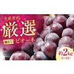 ピオーネ 種無し 約2kg