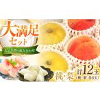 藤渕果樹園の桃 梨セット 各6玉